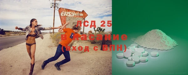 мяу мяу кристалл Тайга