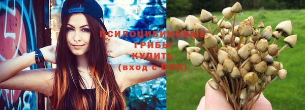 каннабис Сясьстрой