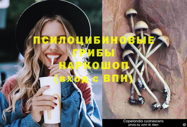 мяу мяу кристалл Тайга