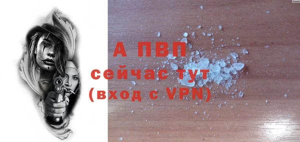 ПСИЛОЦИБИНОВЫЕ ГРИБЫ Белоозёрский