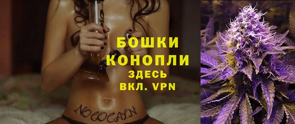 дживик Новосибирск