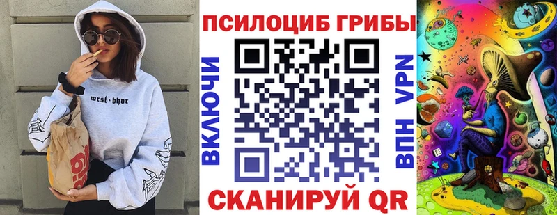 дарнет шоп Тогучин Галлюциногенные грибы Magic Shrooms